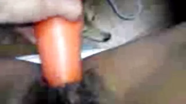 Gratis porno ingen registrering  Med en bus gratis porno dansk får du en kurer