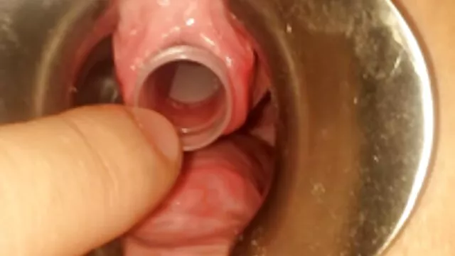 Porno ingen registrering  Min bror dansk retro sex og søster